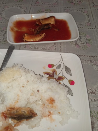 sardinas