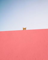 นลิน พลูสวัสดิ์ profile icon