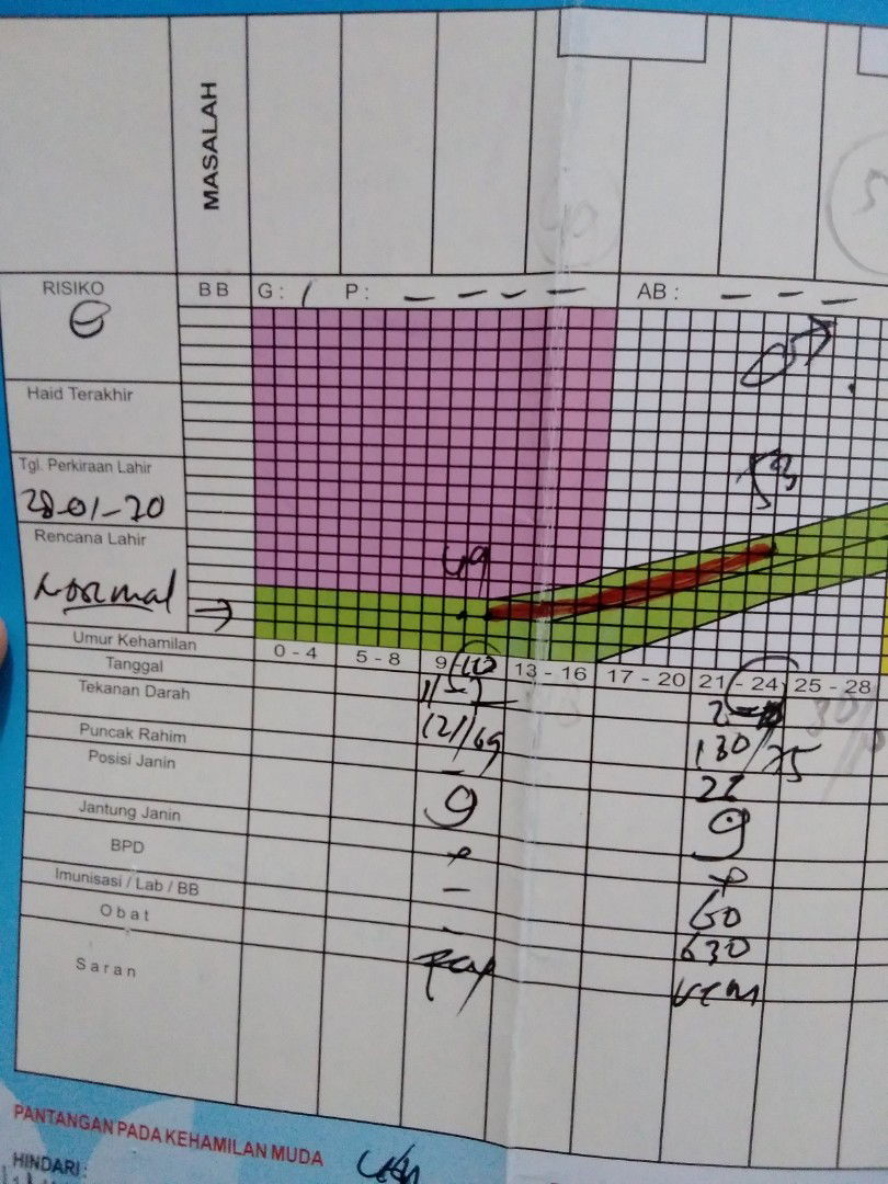 ada yg pakai kartu menuju sehat ibu hamil ?