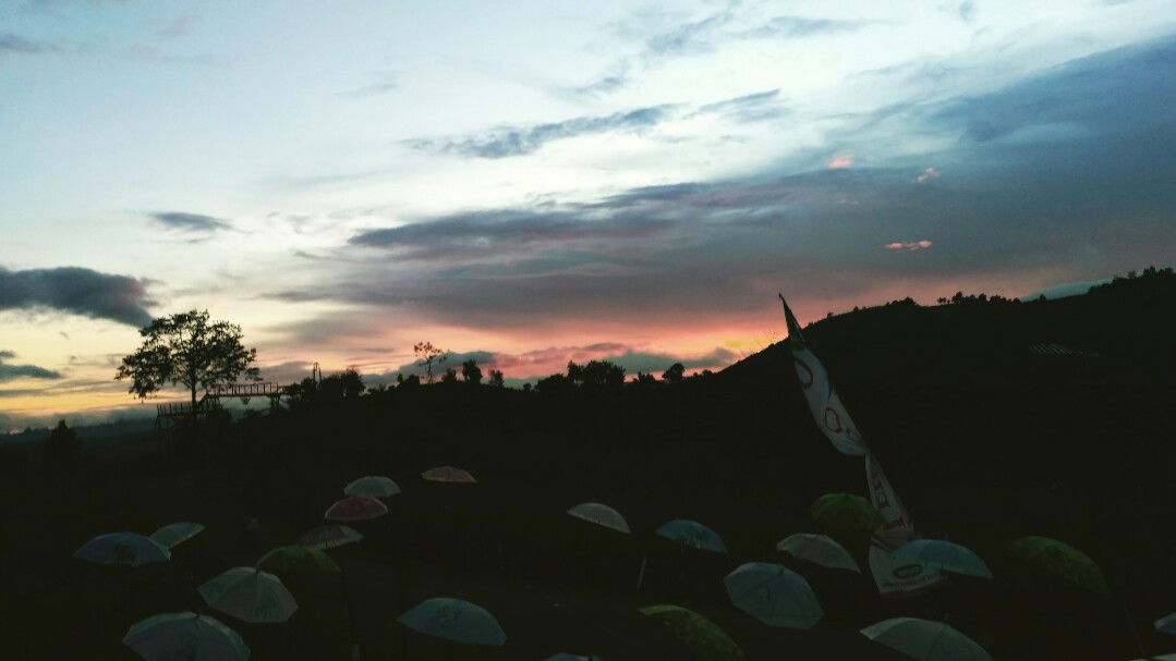 lindayani profile icon