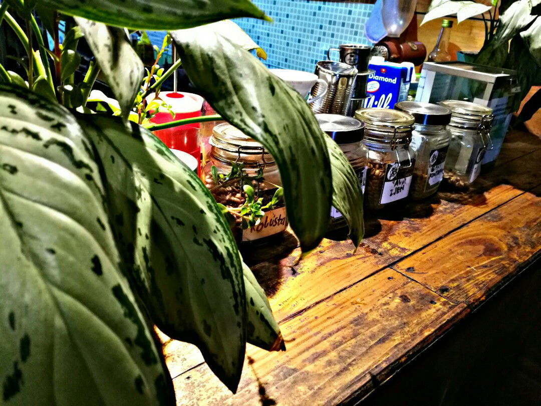 new mom profile icon