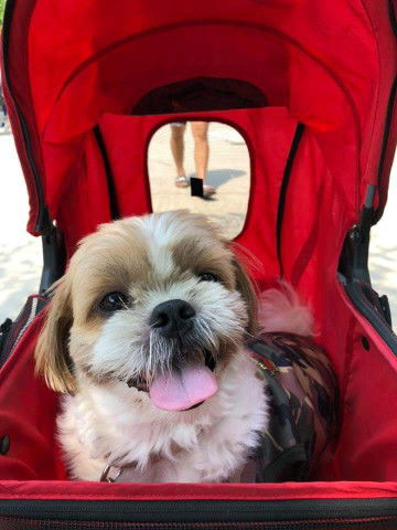 แนน profile icon