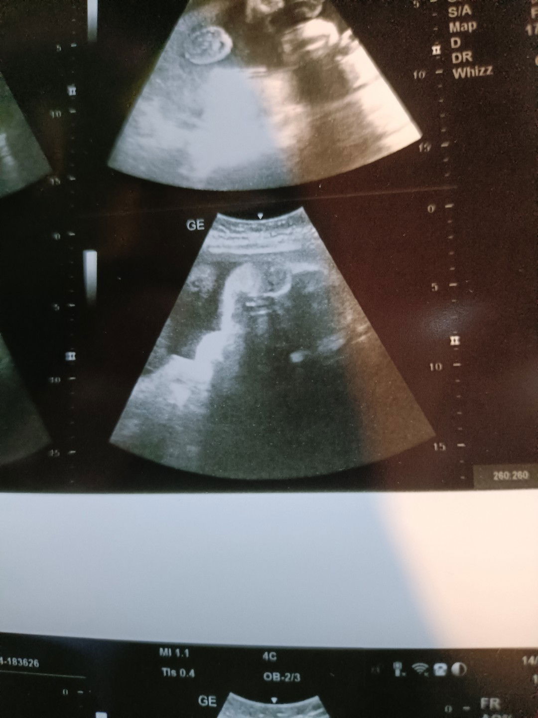 Tanyarat Witmut profile icon