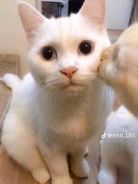 อ้อมม profile icon