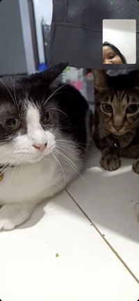 Yean Anderiani profile icon