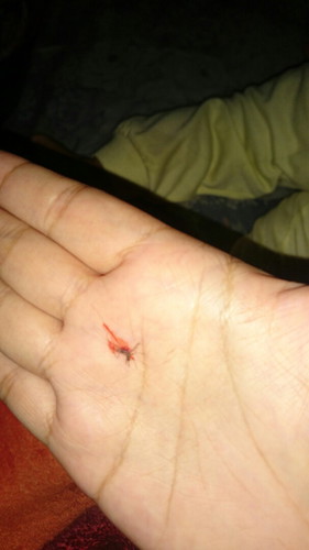 sabtu 16 nov 2019 jam 00:29