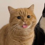 ยู ซิน profile icon