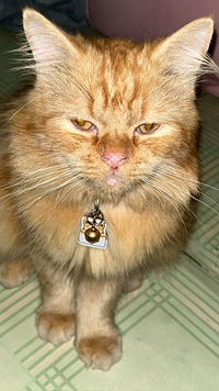 Sri Wahyuni profile icon