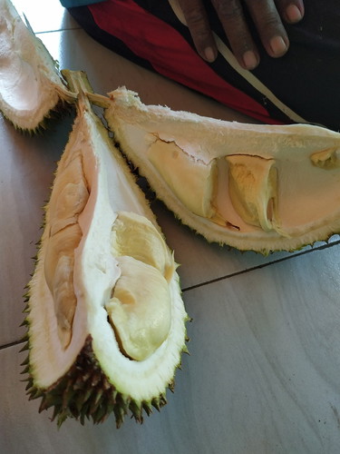 durian