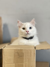 Ayda Rahim profile icon