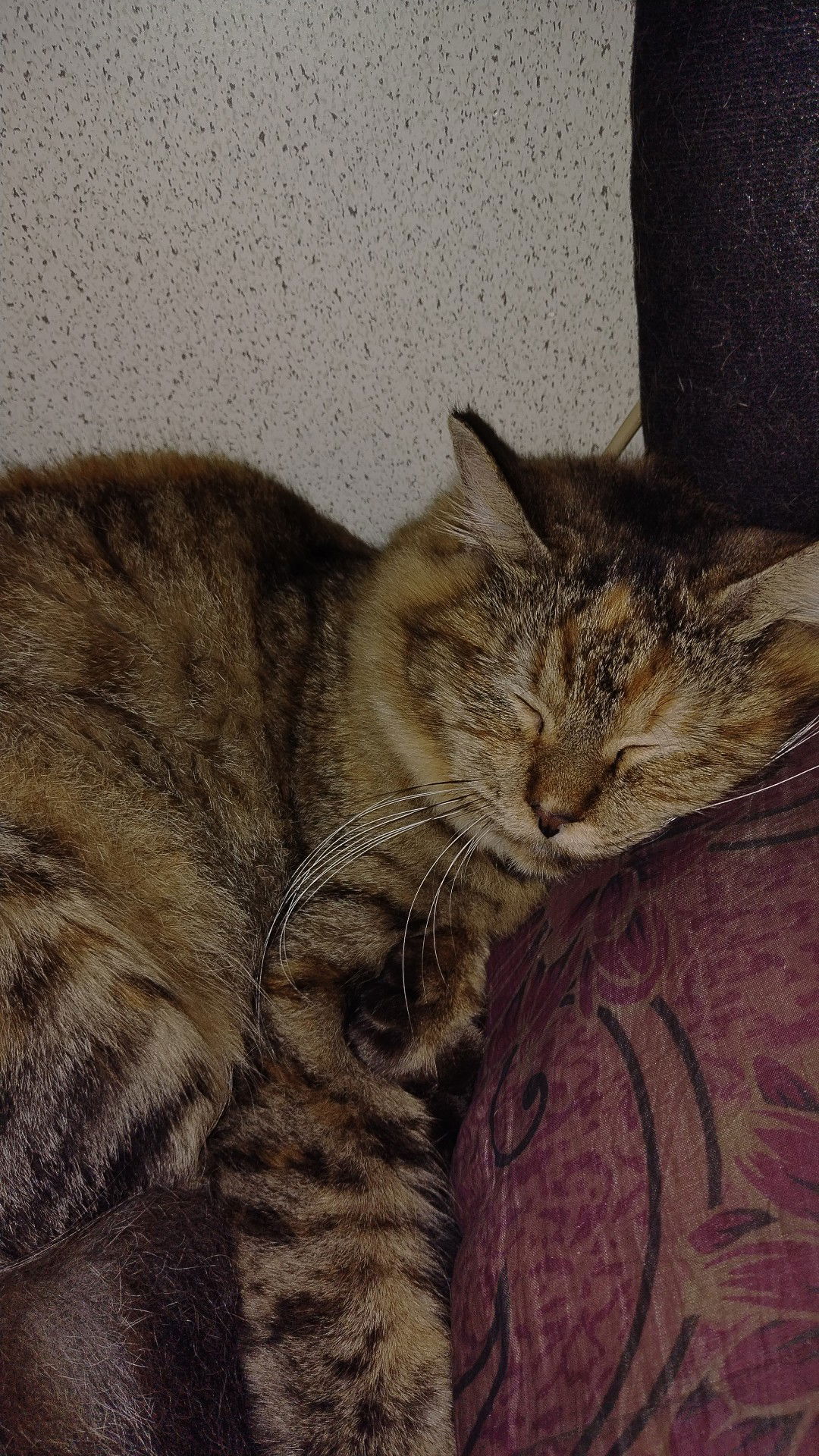 Sabrina profile icon