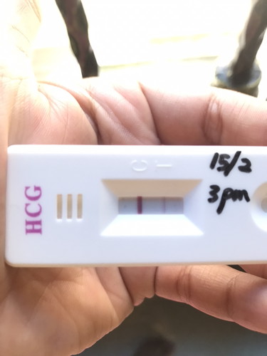 pregnancy