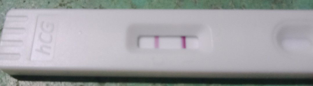 Checil Obbus profile icon