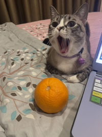 Puspa Dhamayanti profile icon