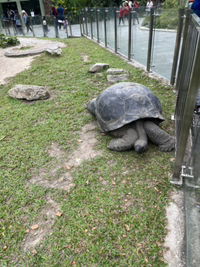 Mommyummy profile icon