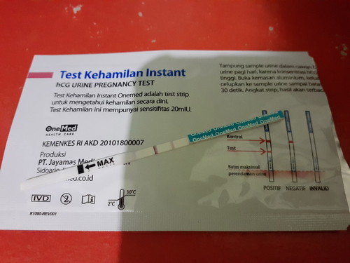 informasi kehamilan
