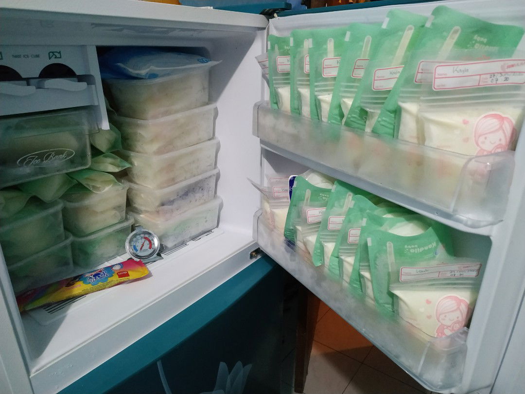 pejuang Asi dan sebagai mommy, Ibu rumah tangga,wanita karir