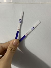 Nguyệt Thị profile icon