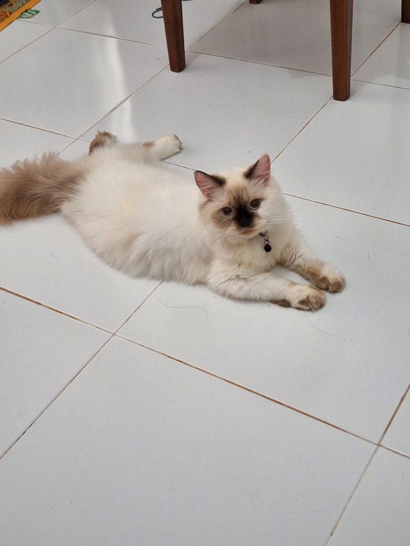 Nurul Dwi Riana profile icon