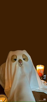 ayam gepuk profile icon