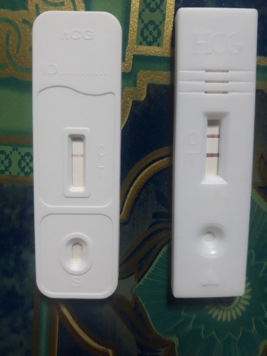 Test pregnant