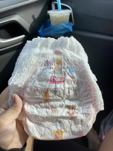 ตามหาแพมเพิส