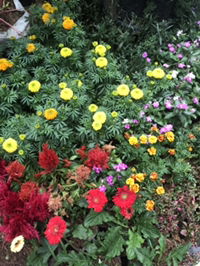 bundsky profile icon