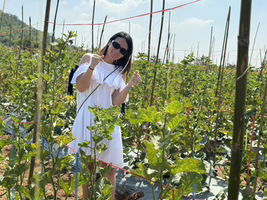 Booksmile profile icon