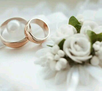 NT FAMILY profile icon