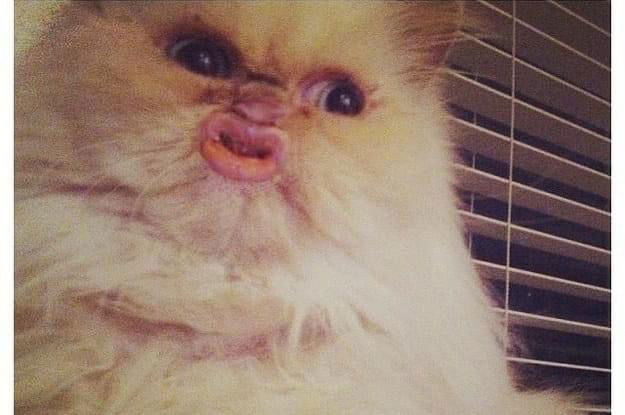 หม่าม่าพี่ไททัน profile icon