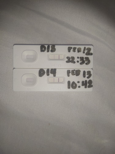 Ovulation Test