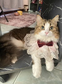 pen pen profile icon