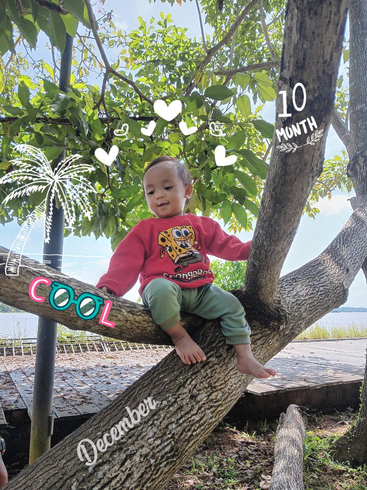 Icha Mamaraffiyya profile icon