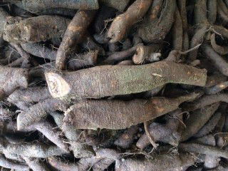 Dành cho các mẹ đang mang thai 3 tháng đầu quan trọng của thai kỳ