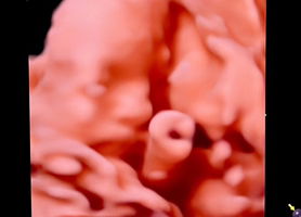 Kulyarat phatchanatrakool profile icon