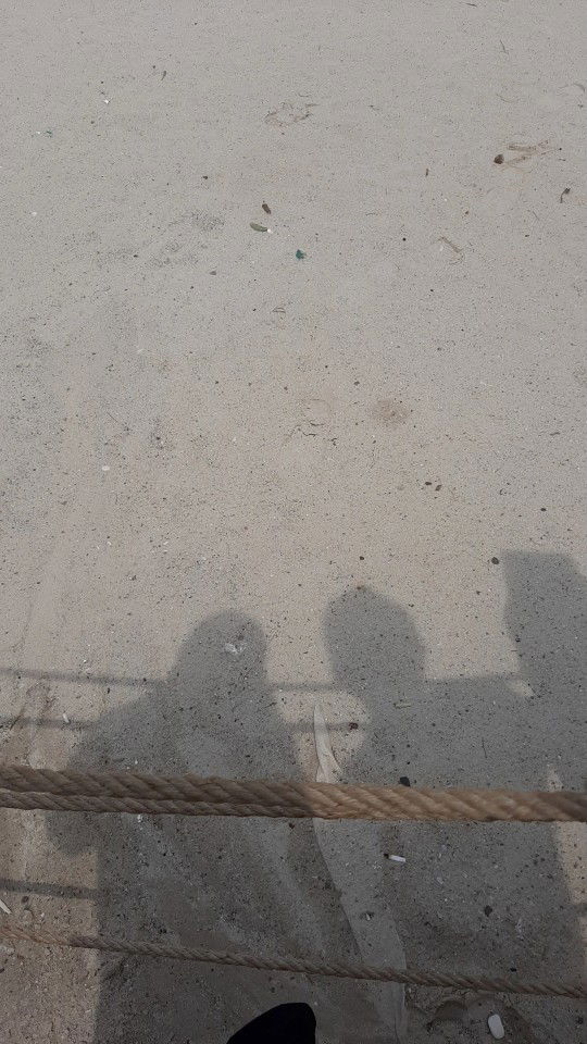 Umma Zayd profile icon