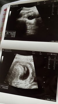 ณฐกมล ? profile icon