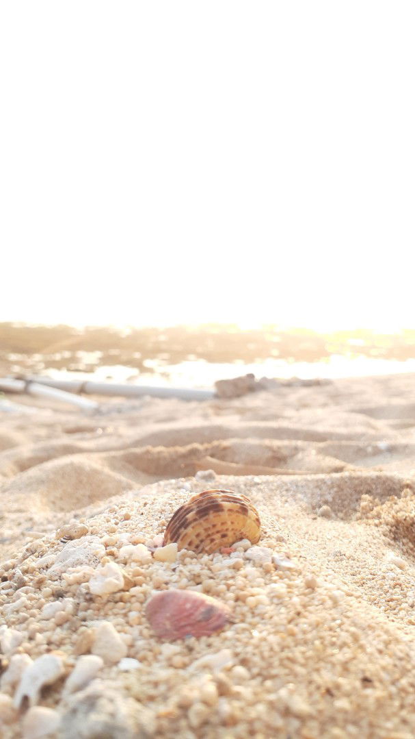 LastChild profile icon