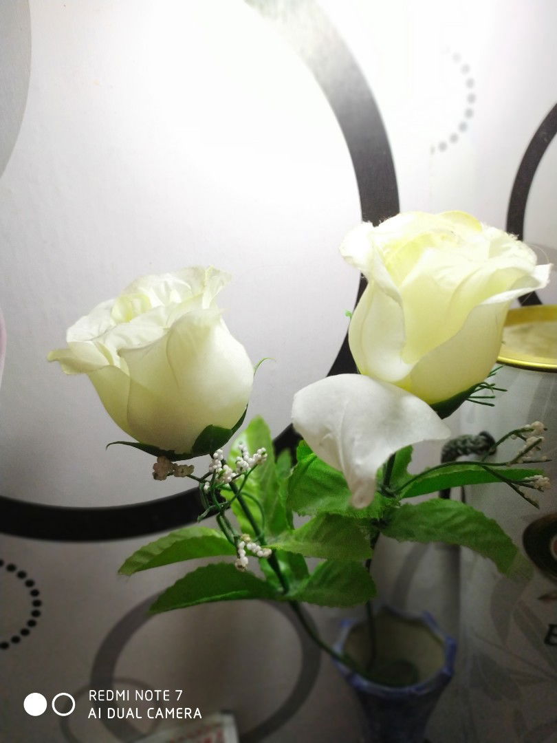 Rifani Armantia profile icon