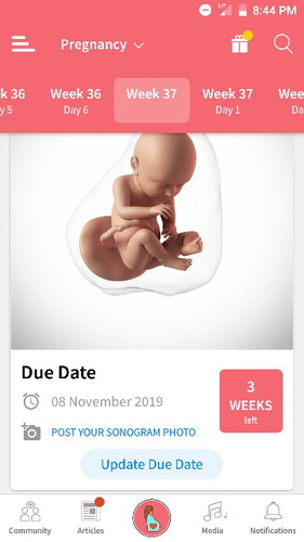 37weeks