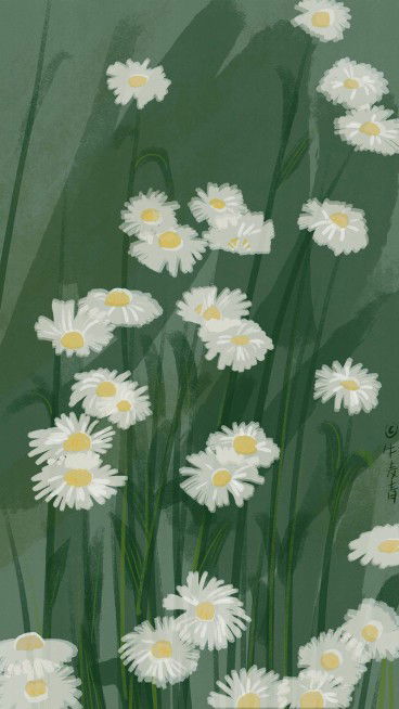 ummu zaid profile icon