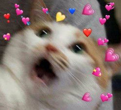 สิริวรรณ คงแก้ว profile icon