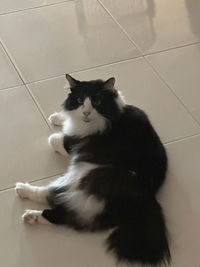 Fildza Rahman profile icon