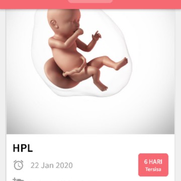 belum ada tanda2 kelahiran