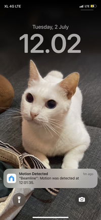 Lenny Suryani profile icon