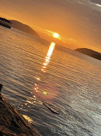 Amira Husna profile icon