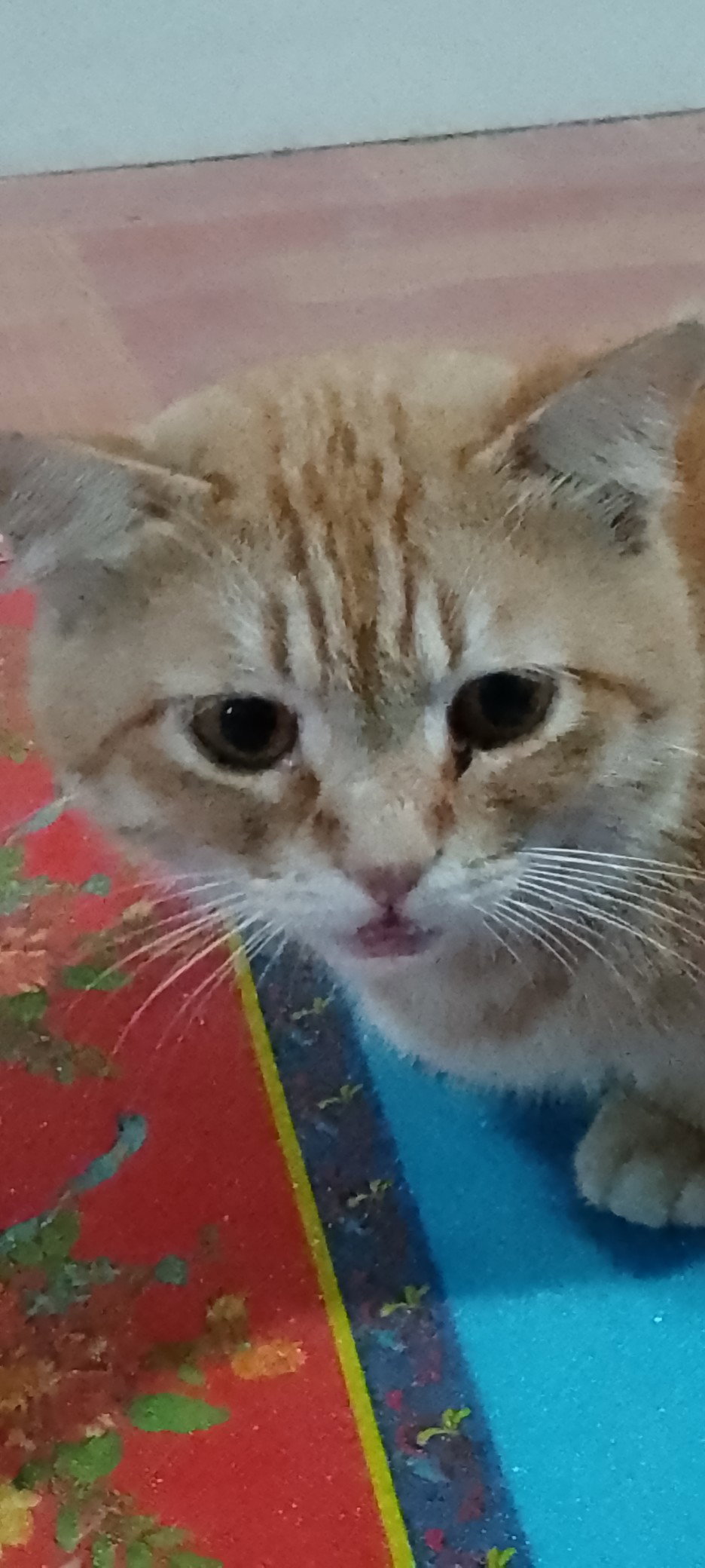 Thidaphon Kaewhanam profile icon