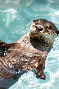 ชมพูนุช ฯ. profile icon