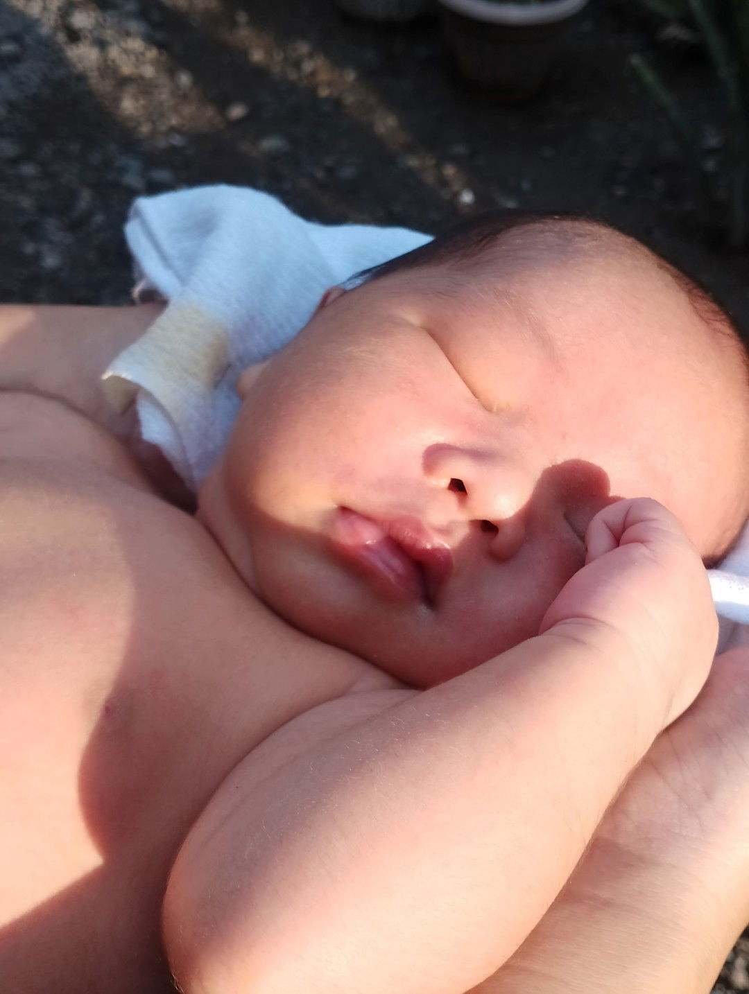 Vaughn Khalieber profile icon