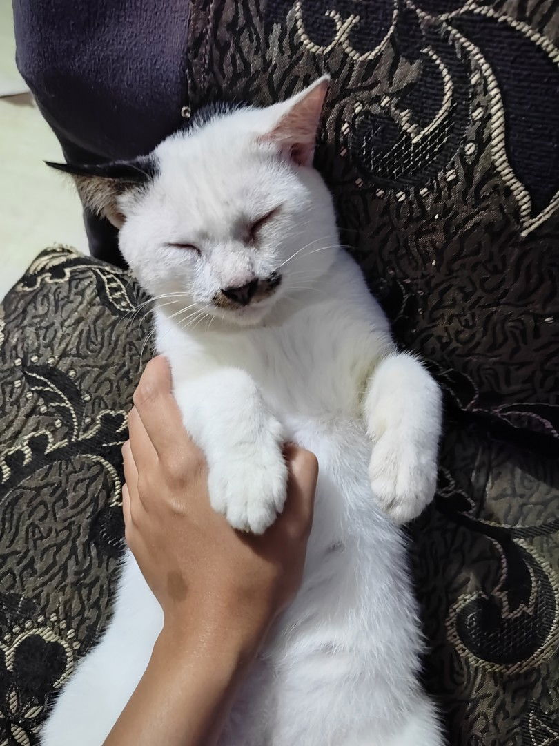 Mommy Claire profile icon